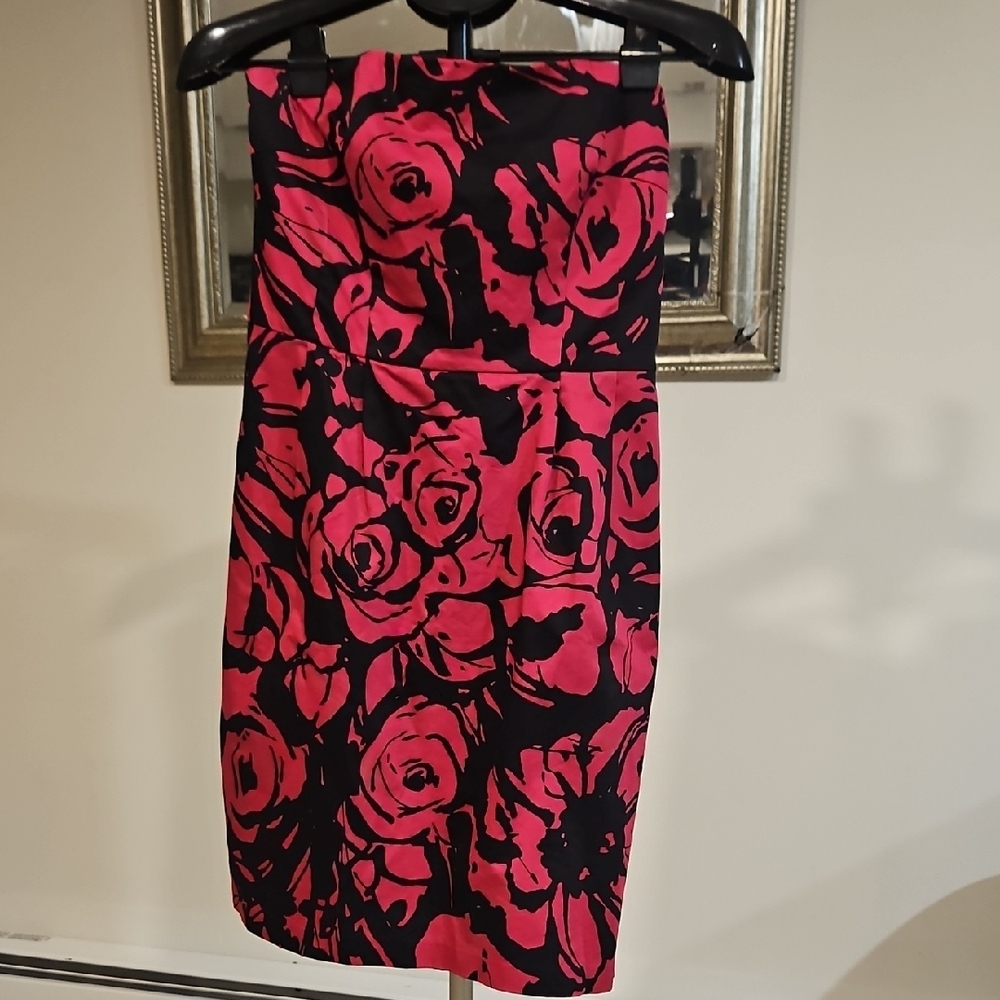 Express Black and Pink Floral Dress